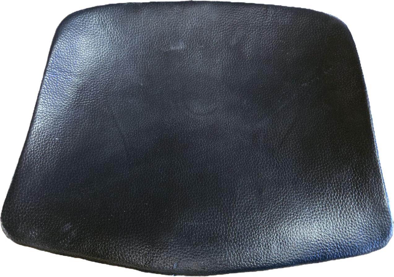 Bild von Sitzkissen Amazonas